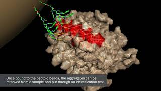 How it works A gamechanging new test for prion disease [upl. by Neik295]