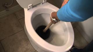 How to Unclog a Toilet  Tips from Mr Rooter Plumbing [upl. by Rockafellow]