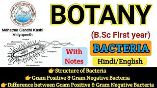 BSC First Year Botany  Botany First PaperStructure of BacteriaGram Ve amp Gram Ve Bacteria [upl. by Galan]