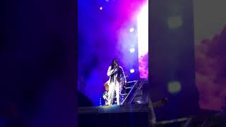 Buju Banton  Untold Stories LIVE  Long Walk To Freedom Concert Jamaica [upl. by Adlitam]