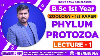 Lt01 Phylum  Protozoa Part1  BSc1st Year Zoology [upl. by Laaspere]