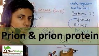 Prion protein and prion disease [upl. by Aved]