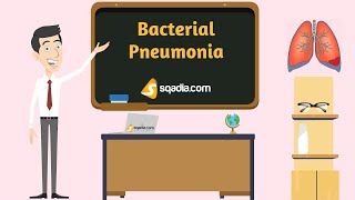 Bacterial Pneumonia  Animation  Medical Pathology Video  VLearning™  sqadiacom [upl. by Kared]