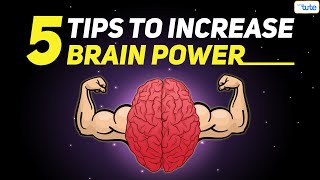 How To Increase Your Brain Power  5 Effective Tips To Improve Memory  Letstute [upl. by Deeraf]