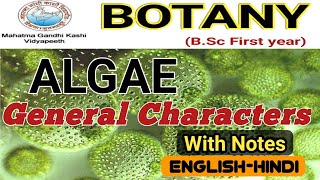 General Characteristics of AlgaeAlgae General FeaturesBSc 1st year [upl. by Evangelin]