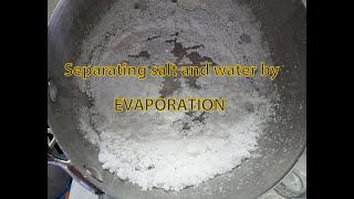 Science experiment Separating mixture by EVAPORATION  Homogeneous solution  SALT WATER [upl. by Delinda633]