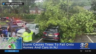 Storm Topples Trees In Ridgewood New Jersey [upl. by Popele]