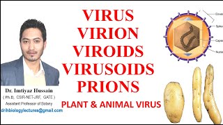 Virus Virion Viroids Virusoids Prions Difference between plant and animal virus [upl. by Katee560]