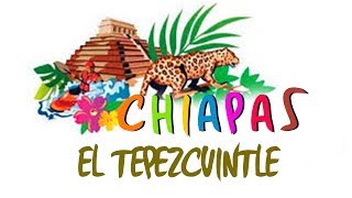 Chiapas  El Tepezcuintle [upl. by Crisey169]