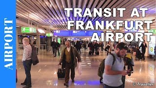 TRANSIT WALK AT FRANKFURT Airport FRA Terminal 1  Connection Flight Transfer Arriving amp Departing [upl. by Earaj455]